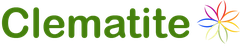 Clematite