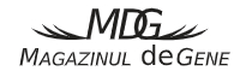 Magazinuldegene