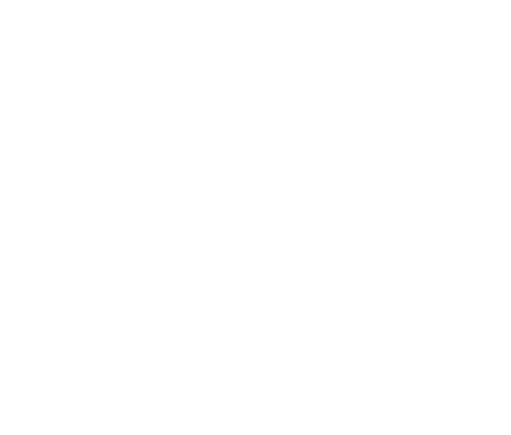 Diplomaticshop-online