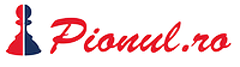 Pionul