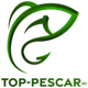 Top-pescar